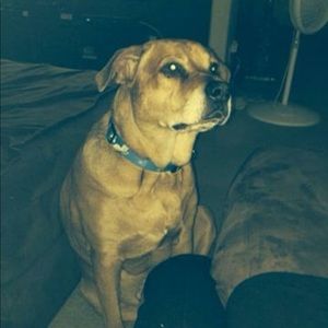 Meet your Posher, Logan